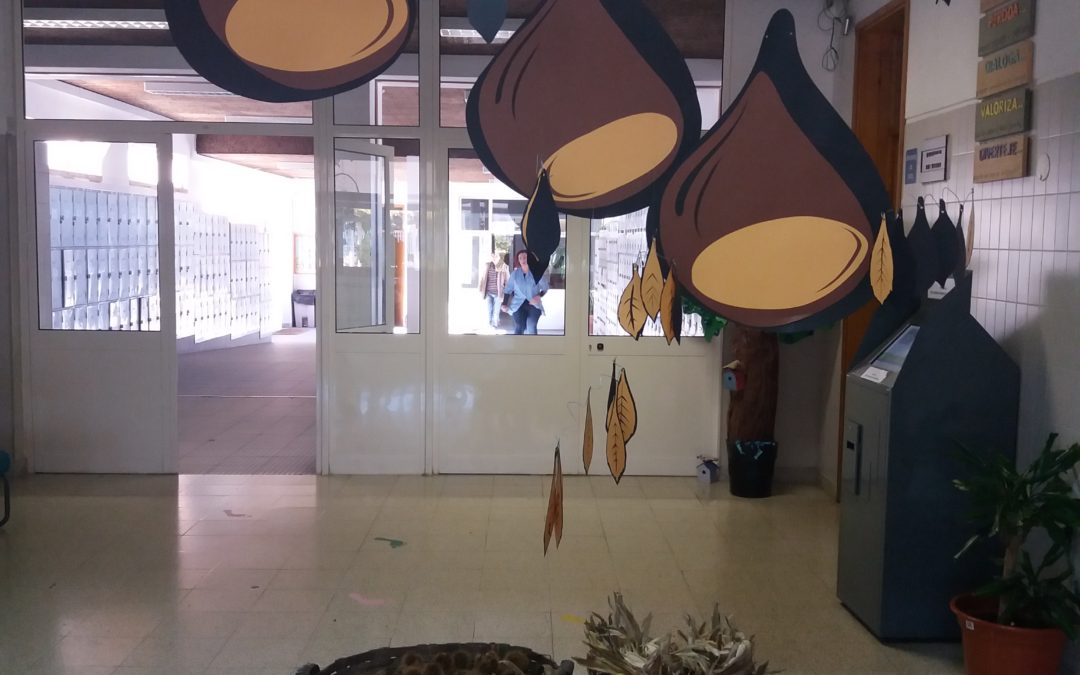 Global Action Days S. Martinho