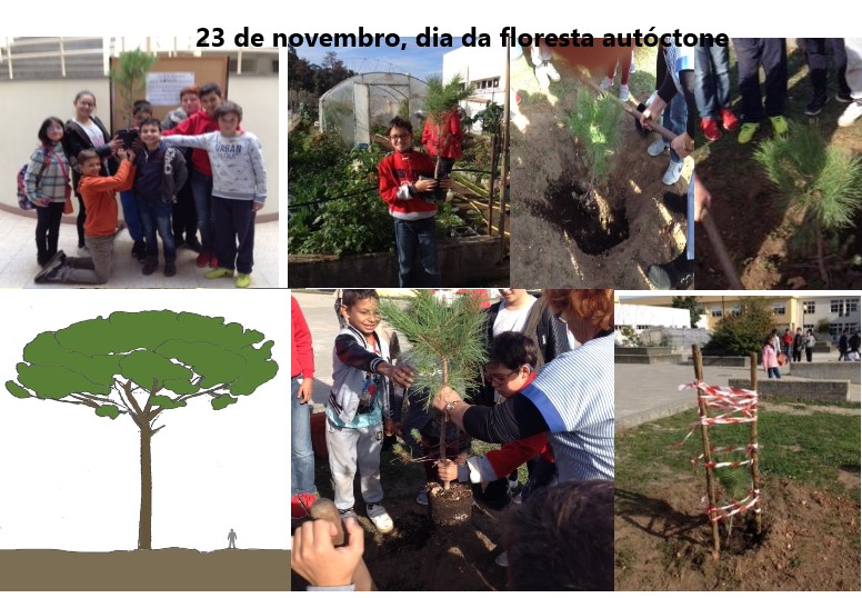 Comemoração do dia da floresta autóctone