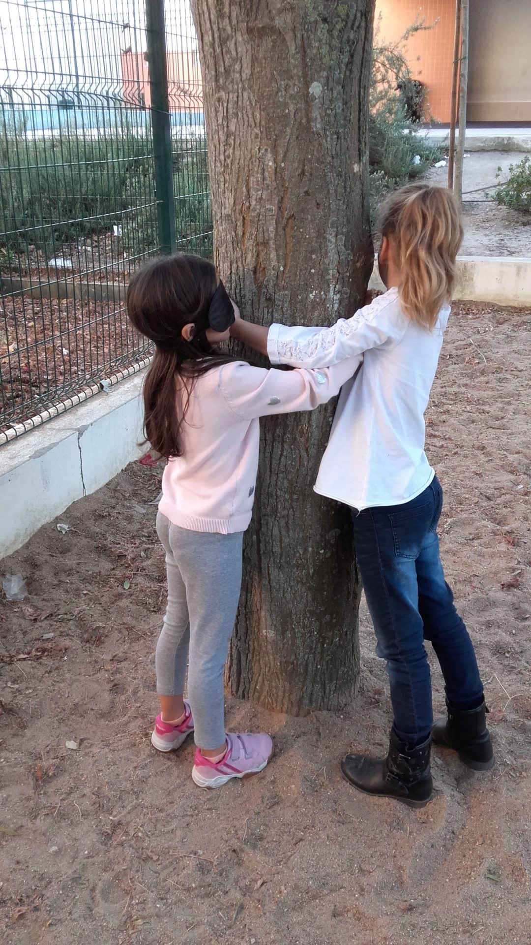 Vamos conhecer as nossas Árvores…