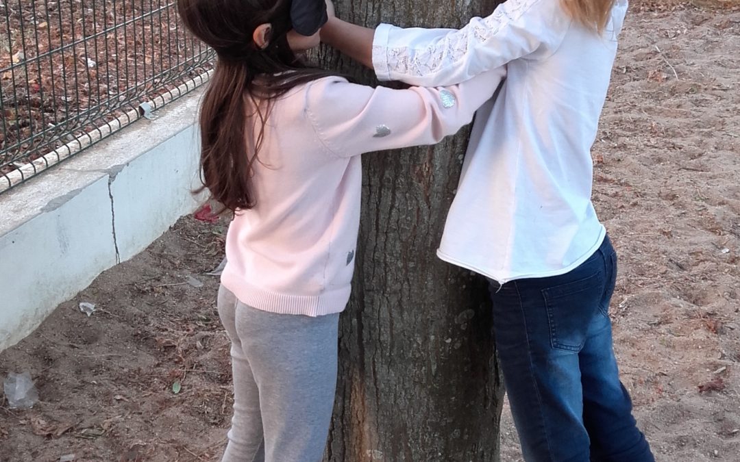 Vamos conhecer as nossas Árvores…