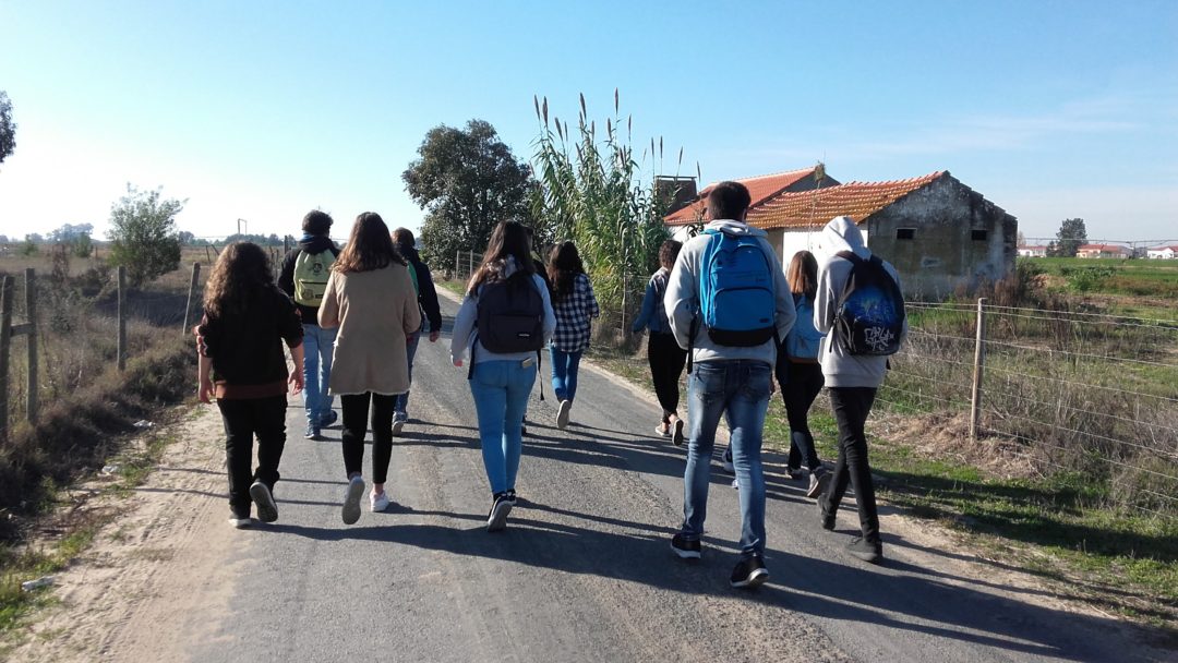 A Agricultura da nossa Região