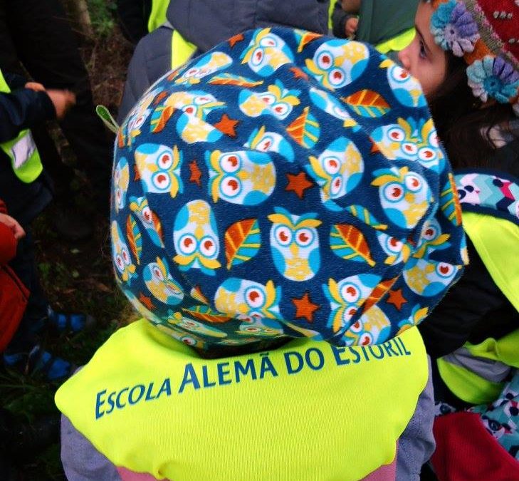 Projeto Plantar uma árvore.