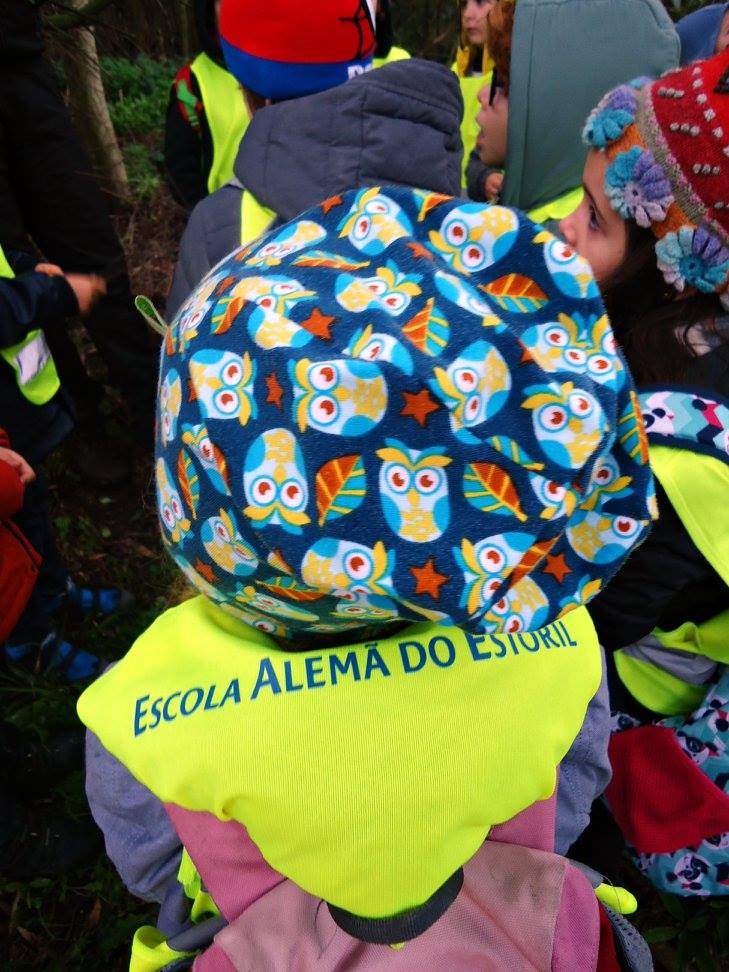 Projeto Plantar uma árvore.