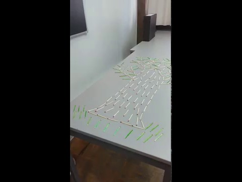 A Floresta é de todos