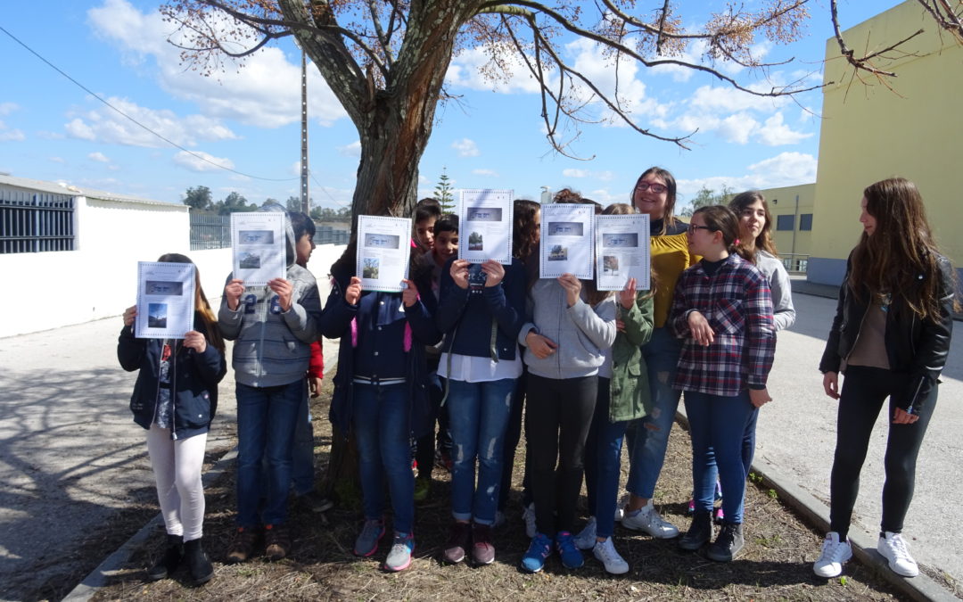 As árvores do pátio da minha escola