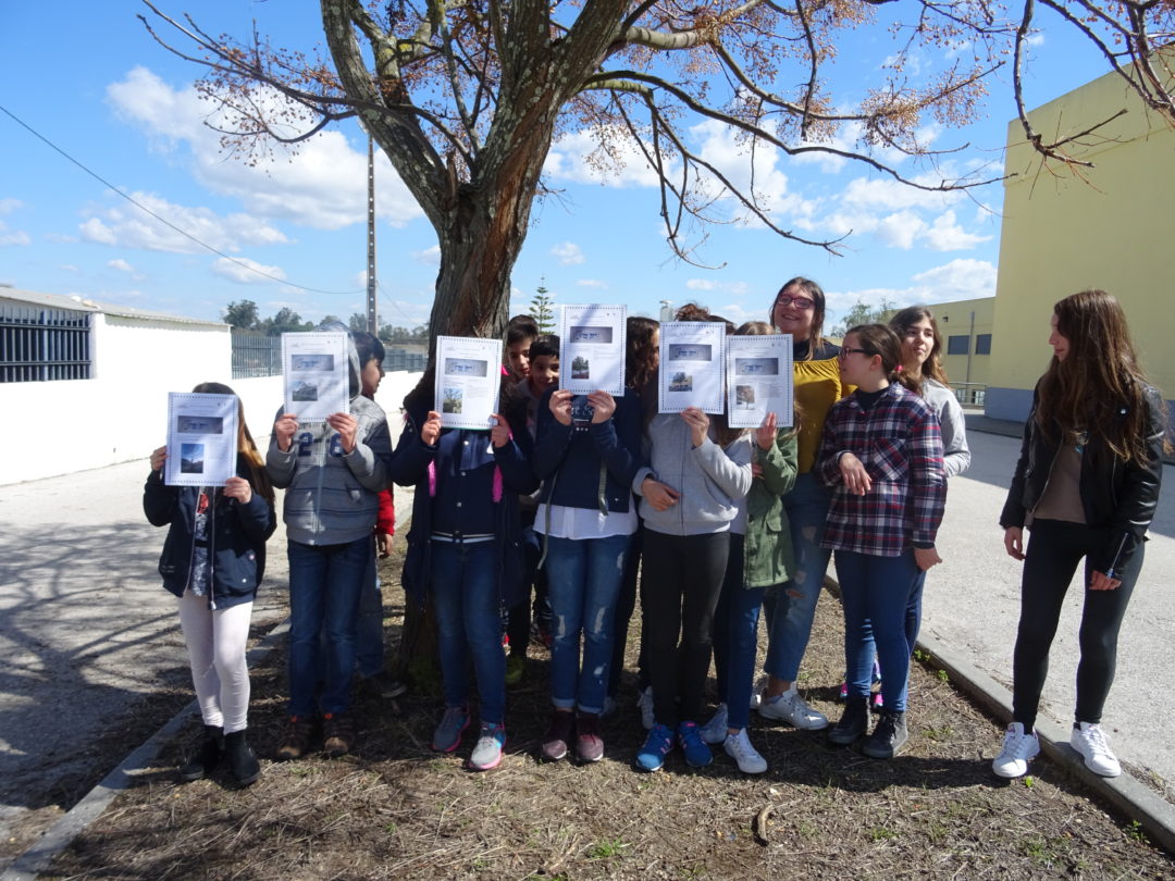 As árvores do pátio da minha escola