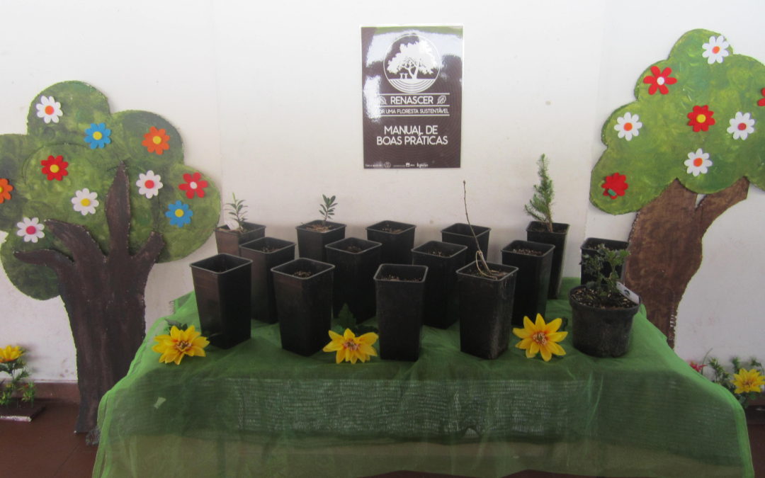 Dia Mundial da Árvore e da Floresta