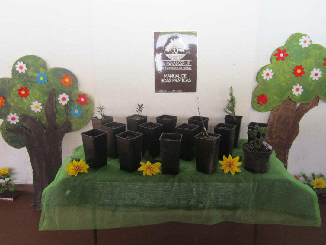 Dia Mundial da Árvore e da Floresta