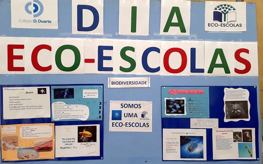 Exposição Dia Eco-escolas, com comemoração do Dia da Terra e dos GADs