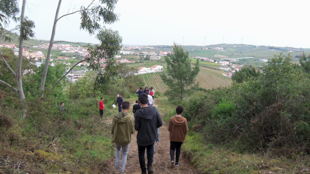Biodiversidade e geodiversidade em redor da Escola Básica de Freiria