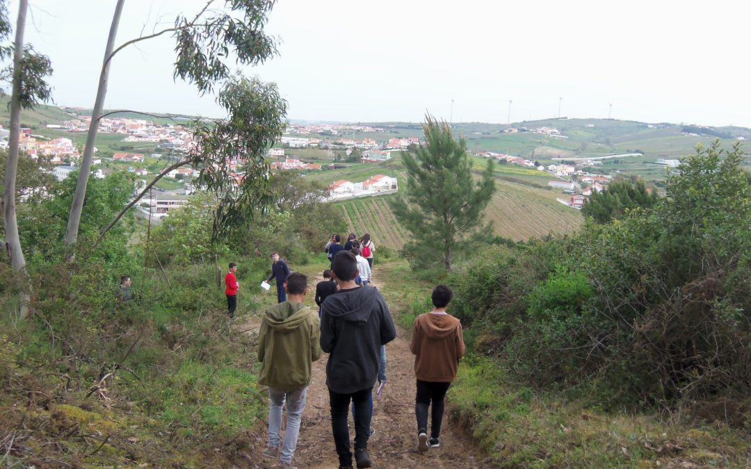 Biodiversidade e geodiversidade em redor da Escola Básica de Freiria