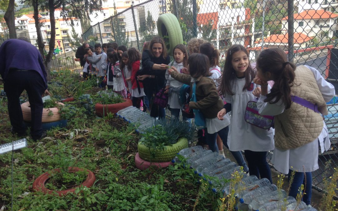 A bio-horta recebeu visitas :)