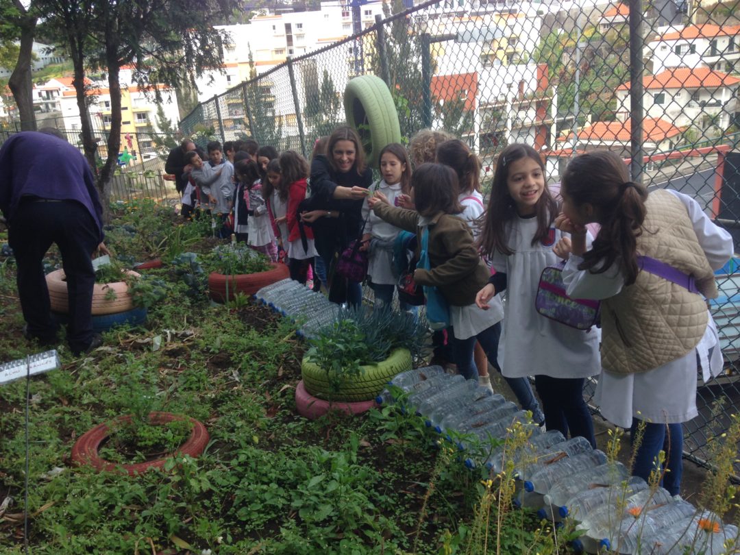 A bio-horta recebeu visitas :)