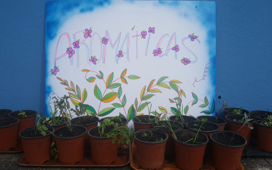 Jardim de Ervas Aromáticas