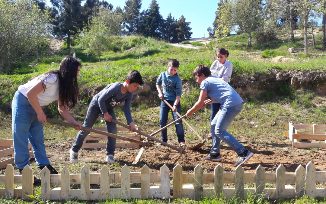 Criação de uma Horta Biológica