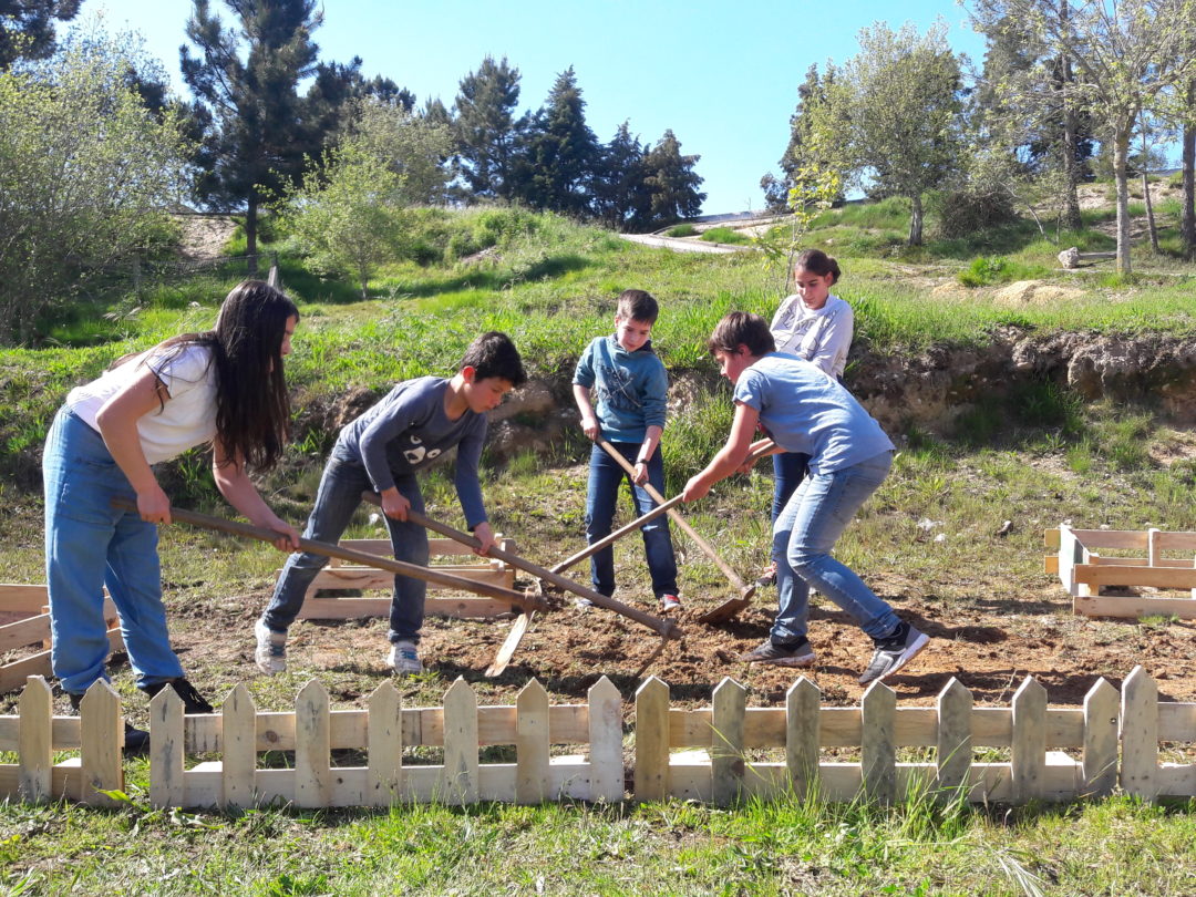Criação de uma Horta Biológica
