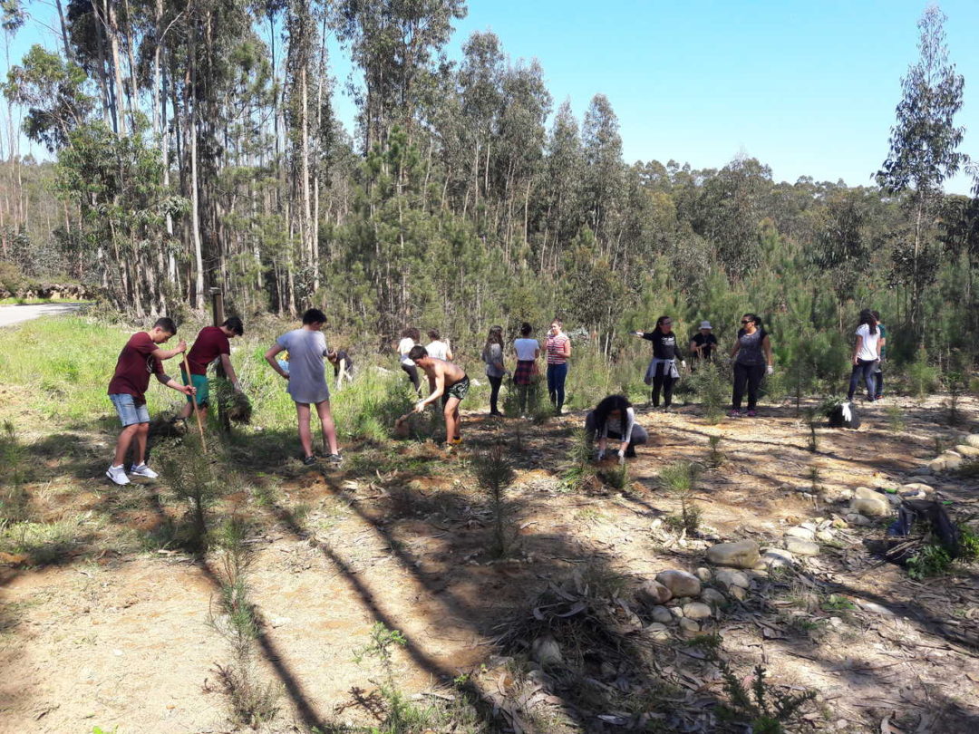 Brigada da Floresta
