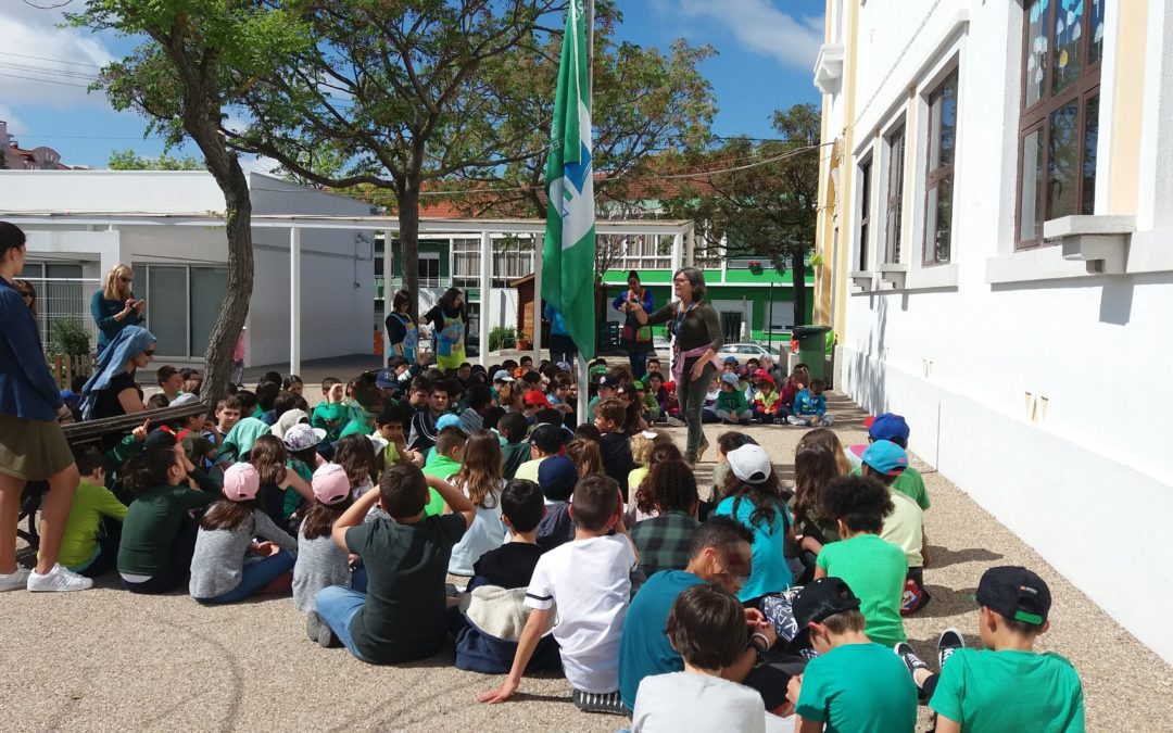 AÇÕES POSITIVAS PELO AMBIENTE