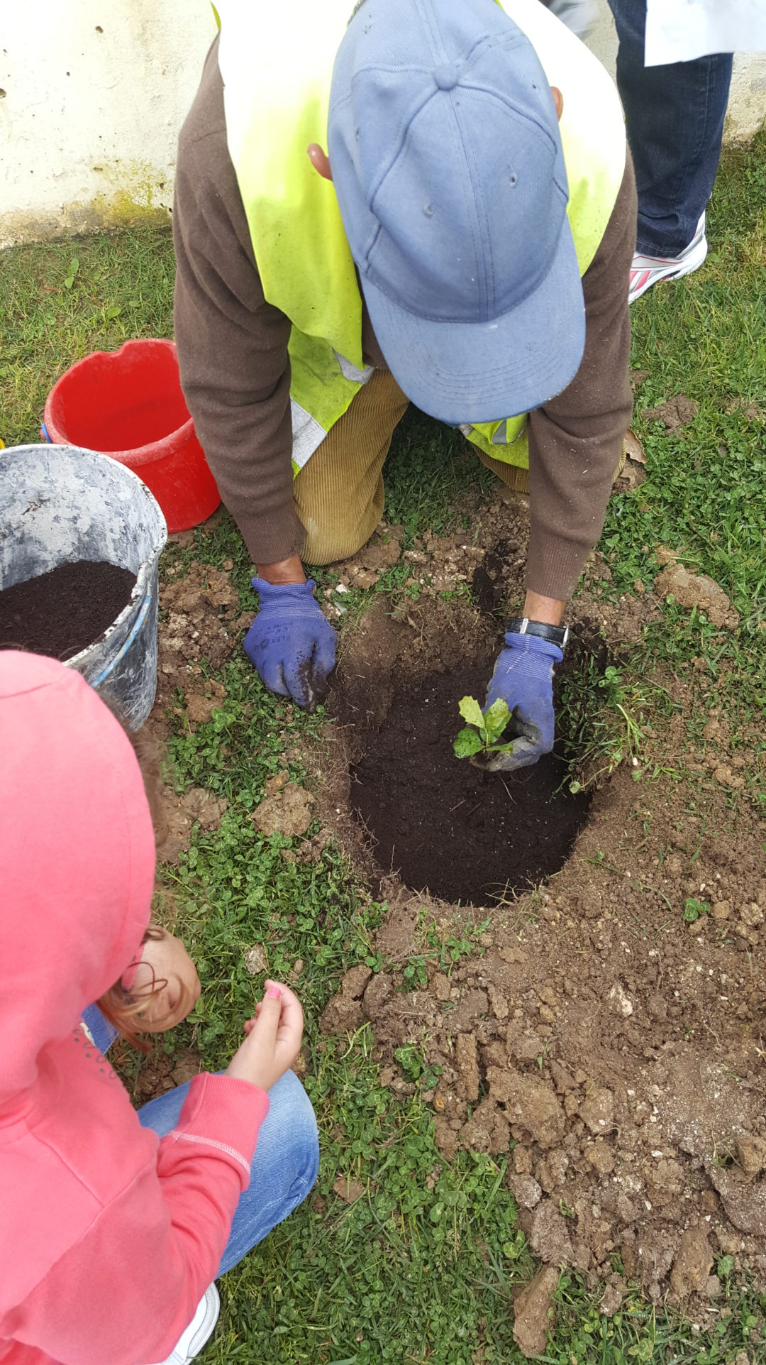 Plantação de Pequenas Grandes Árvores