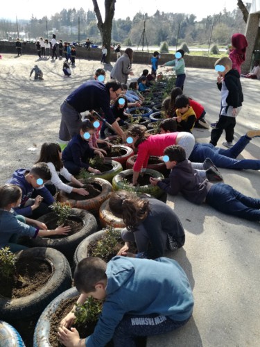 Dia Mundial da Árvore