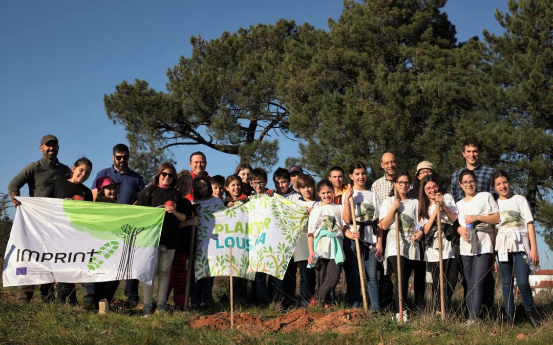 Plantação de 50 árvores de espécies autóctones no jardim da nossa escola