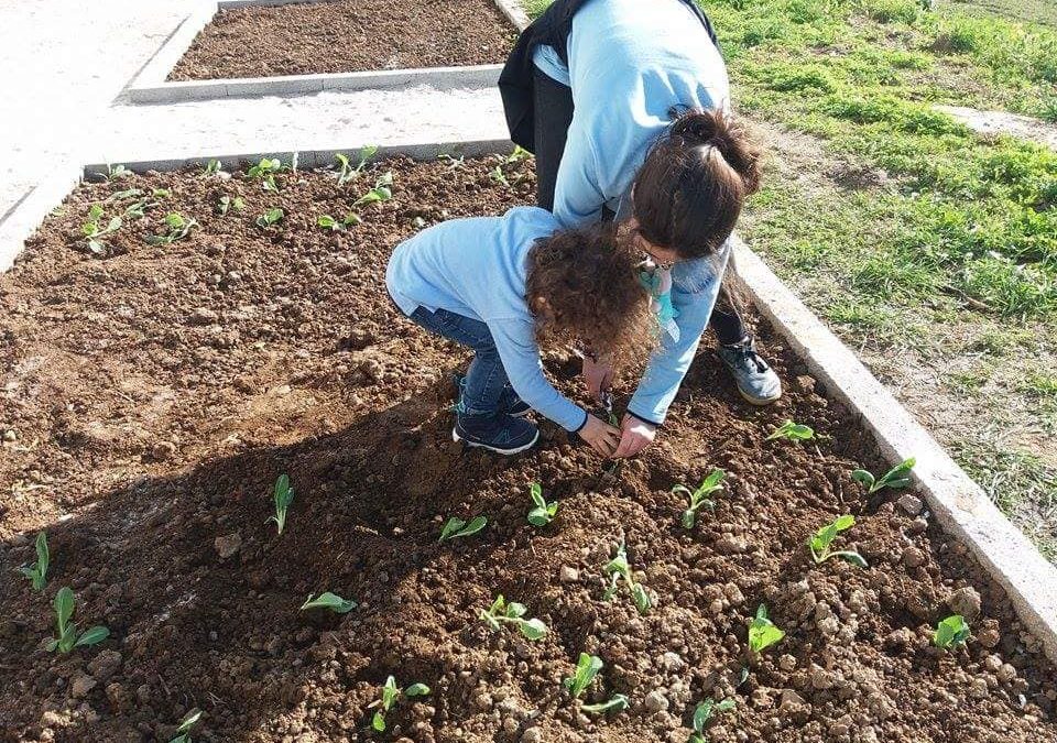 Semana Verde arranca com toda a força…no Colégio Paulo VI