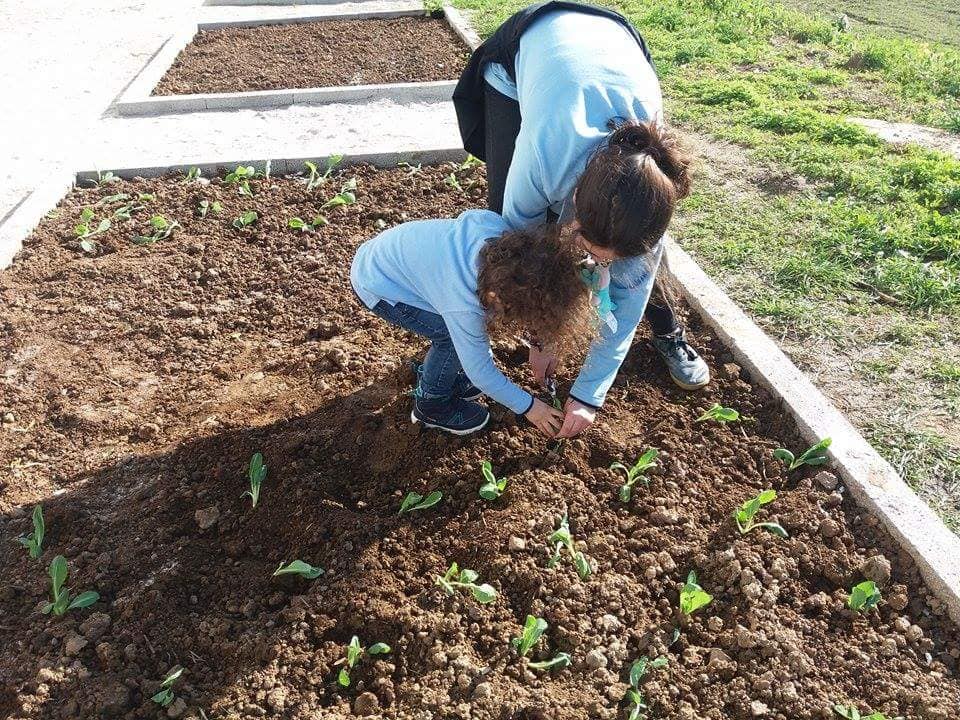 Semana Verde arranca com toda a força…no Colégio Paulo VI
