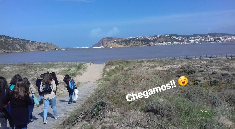 Recolha de lixo na praia de São Martinho do Porto