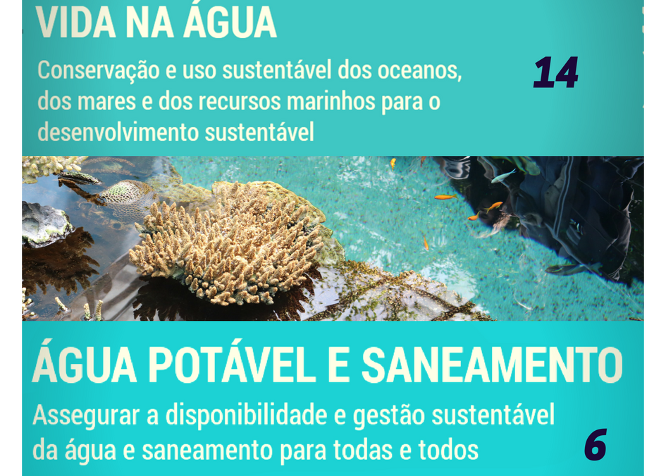 ODS Milénio – No Water No Life