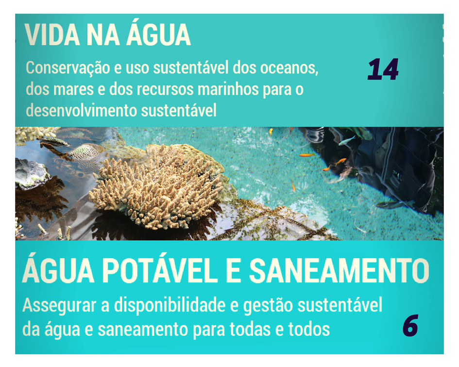 ODS Milénio – No Water No Life