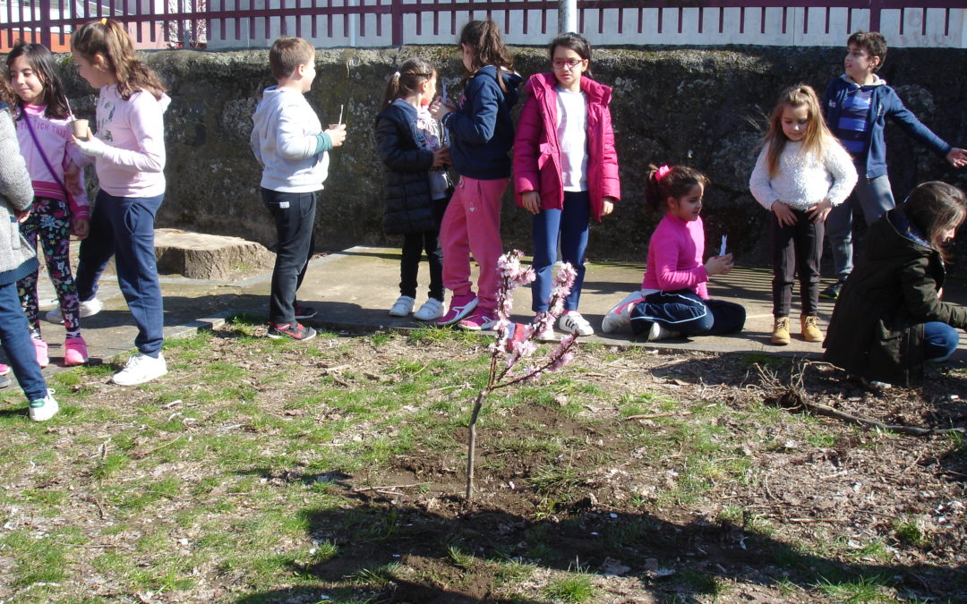 Chegada da primavera… ao JI da EB Padre Manuel de Castro