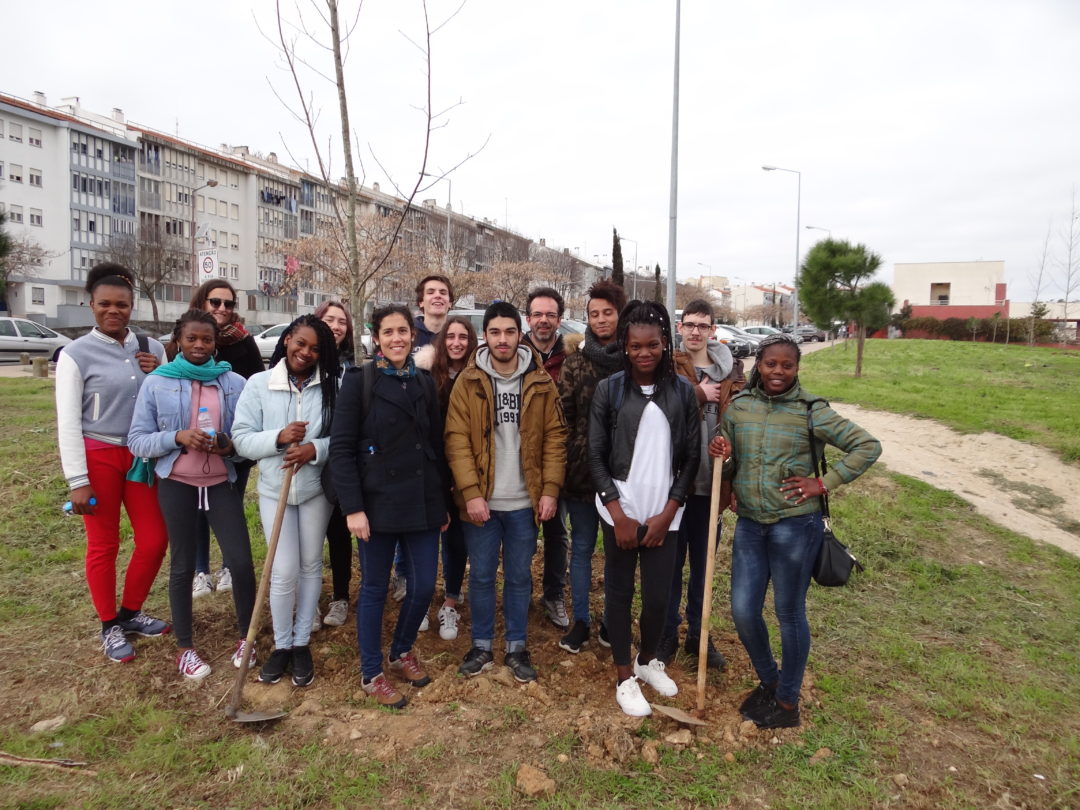 Lisboa: a nossa cidade vestida de verde