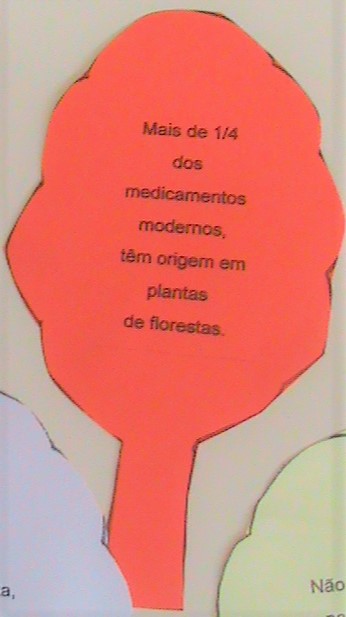 Árvores e lâmpadas, em nome da Floresta e da poupança de Energia!