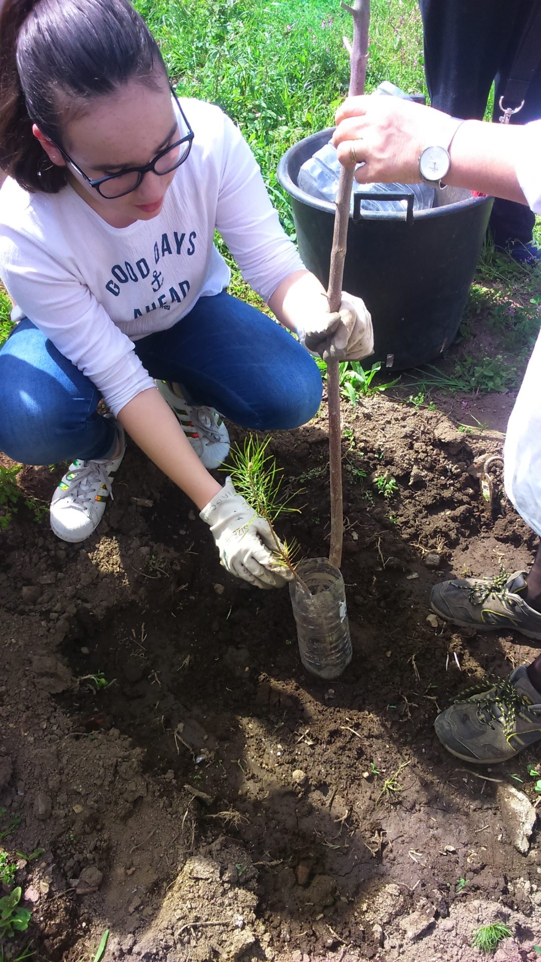 “A minha mini Floresta”