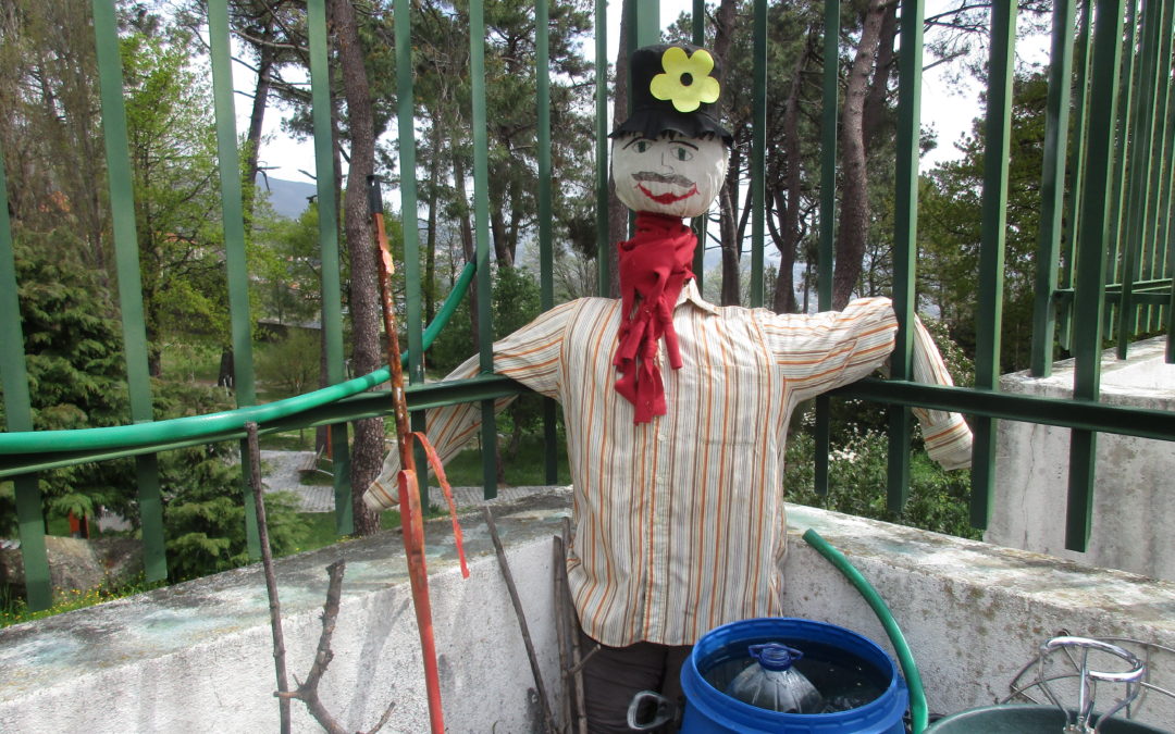 Horta biológica – construção de um espantalho