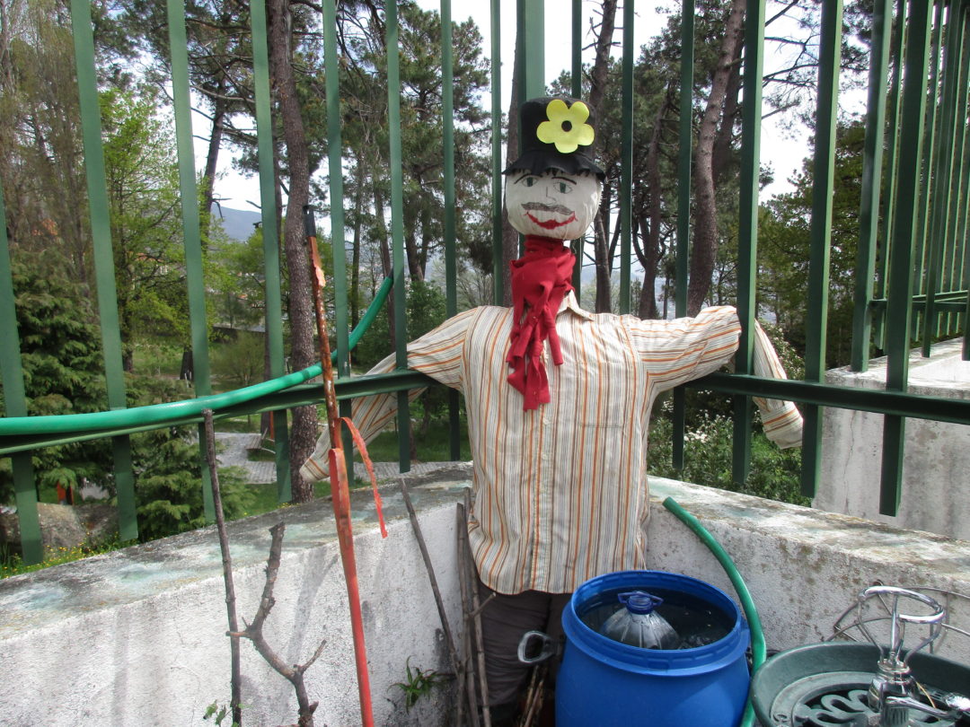 Horta biológica – construção de um espantalho