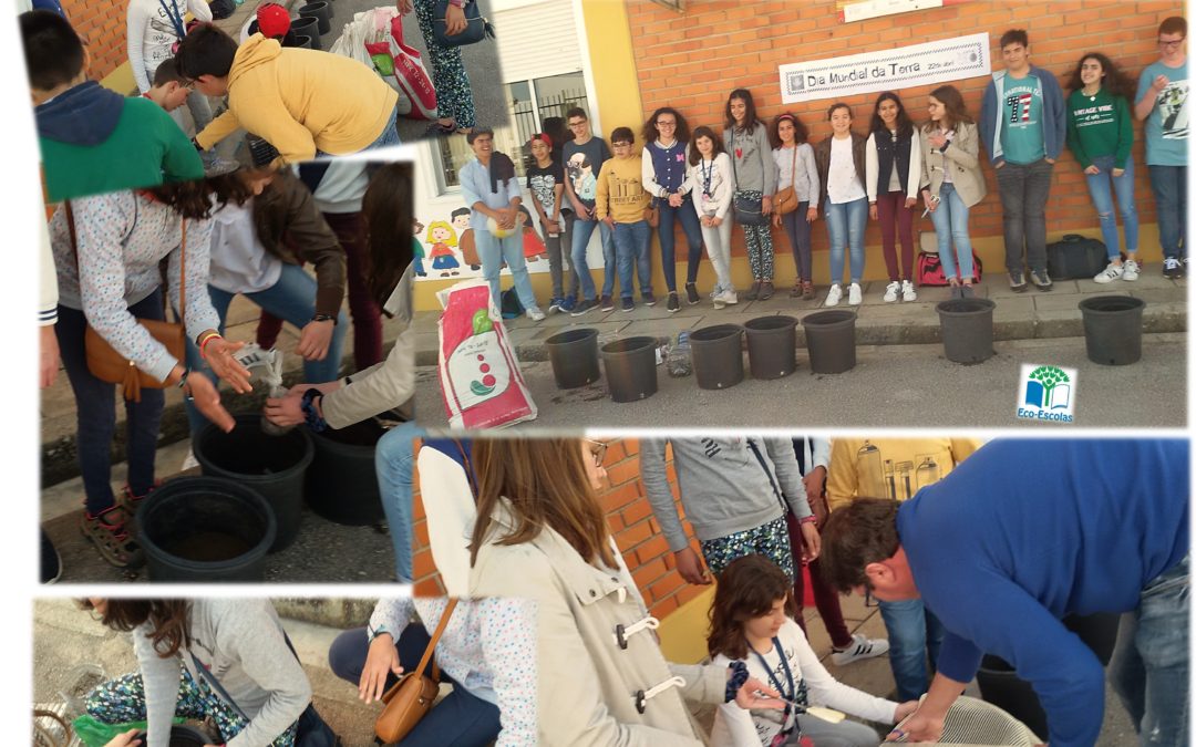 Árvores da minha escola