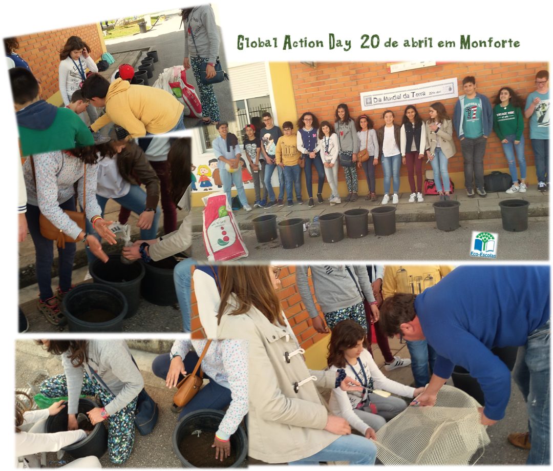 Árvores da minha escola