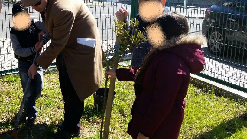 Para a Floresta salvar…uma Árvore plantar!