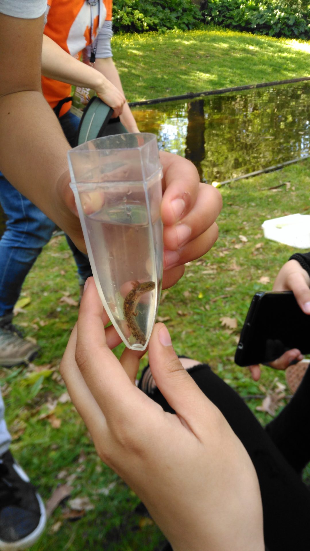 Visita a Serralves – Bioblitz