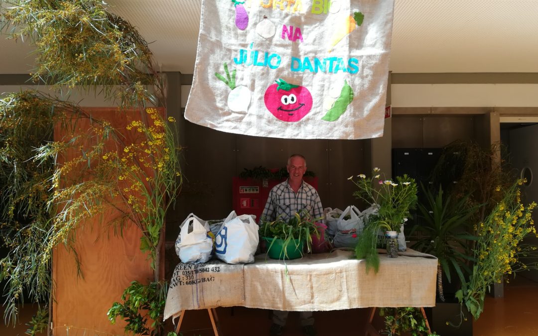 Horta Bio na ES Júlio Dantas