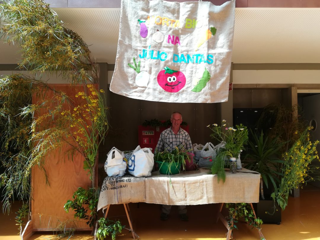 Horta Bio na ES Júlio Dantas