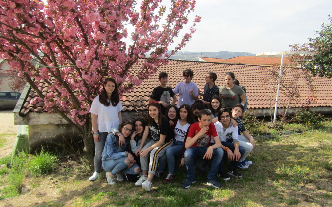 Estudar n(a) Natureza