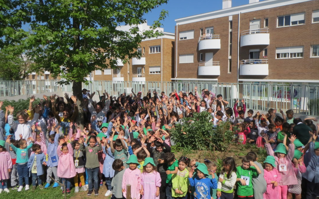 Vamos festejar: já temos uma horta biológica!!