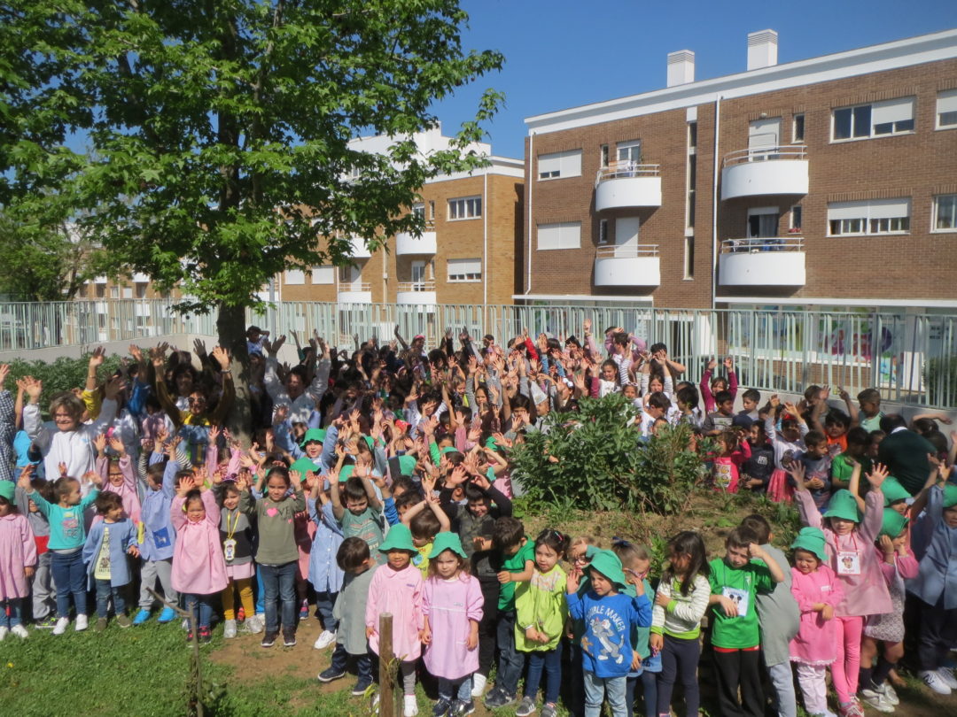 Vamos festejar: já temos uma horta biológica!!