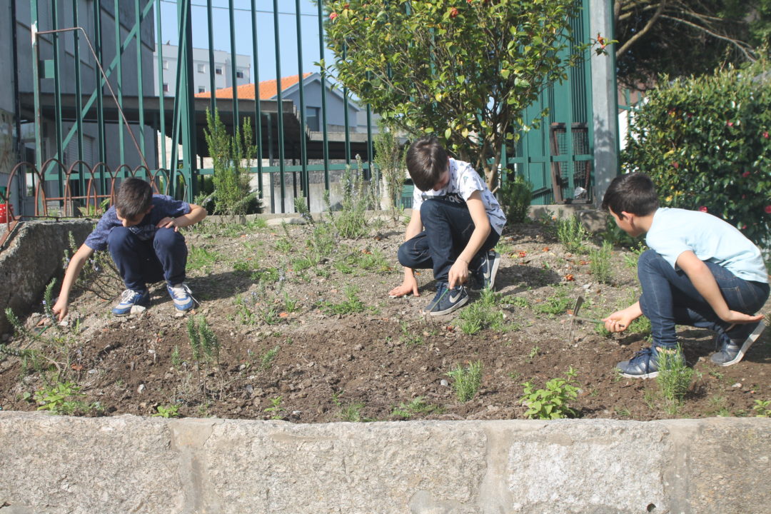 Manutenção no Berçário Eco-Júlio
