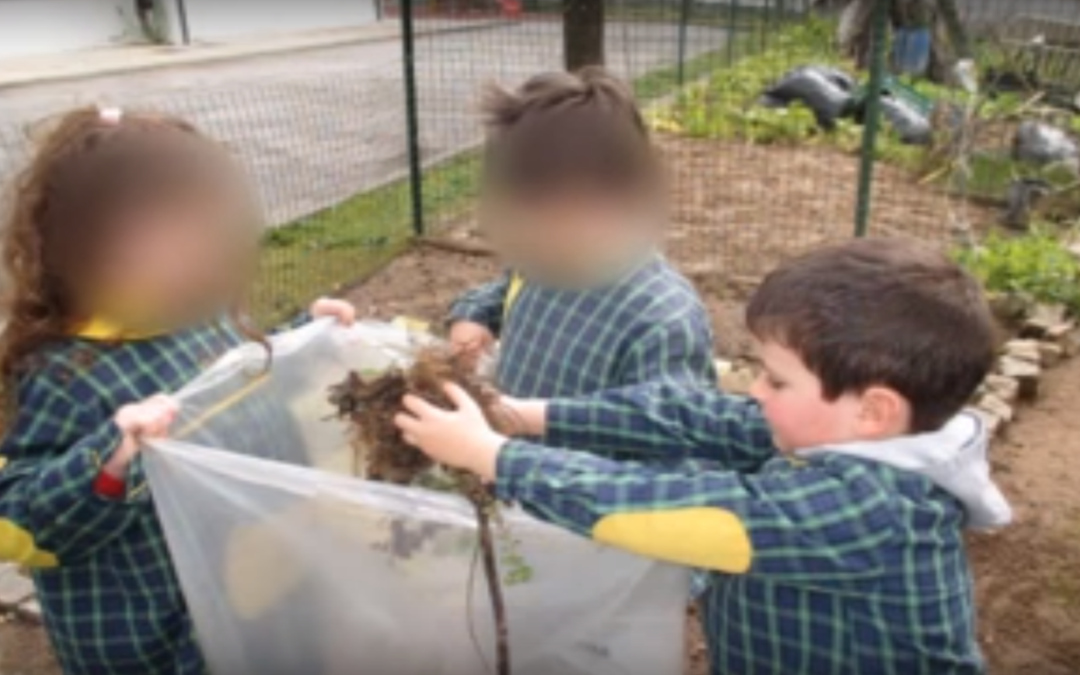 O Nosso Espaço Exterior