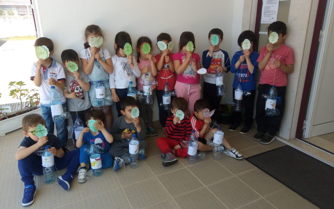 Pela Terra…preocupamo-nos com a floresta e a poupança de energia