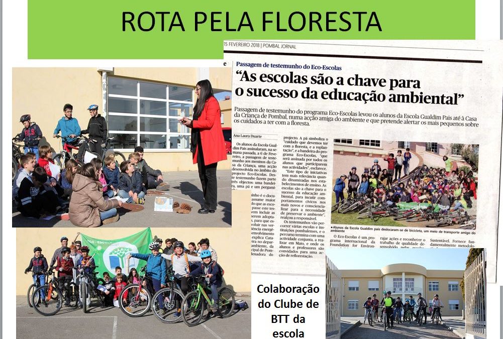 Rota pela Floresta- A passagem de testemunho