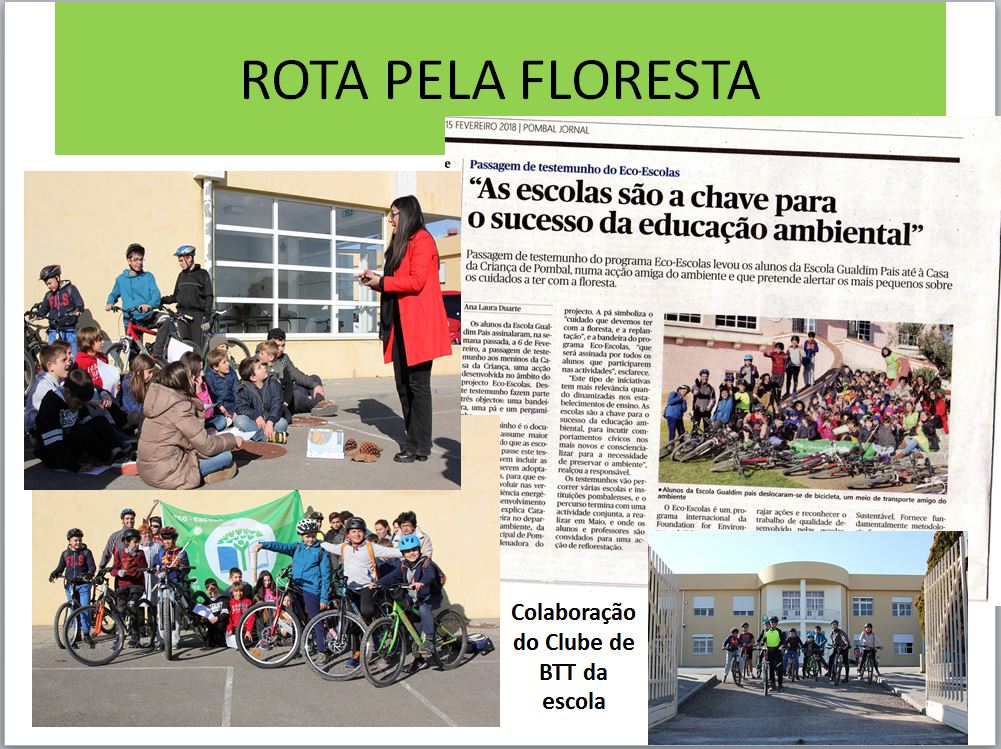 Rota pela Floresta- A passagem de testemunho